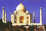 North India Tour